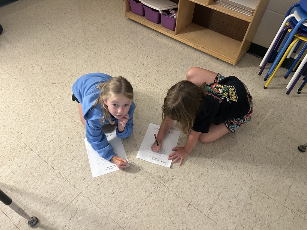 Graphing in Mrs. Ellis' second grade classroom.