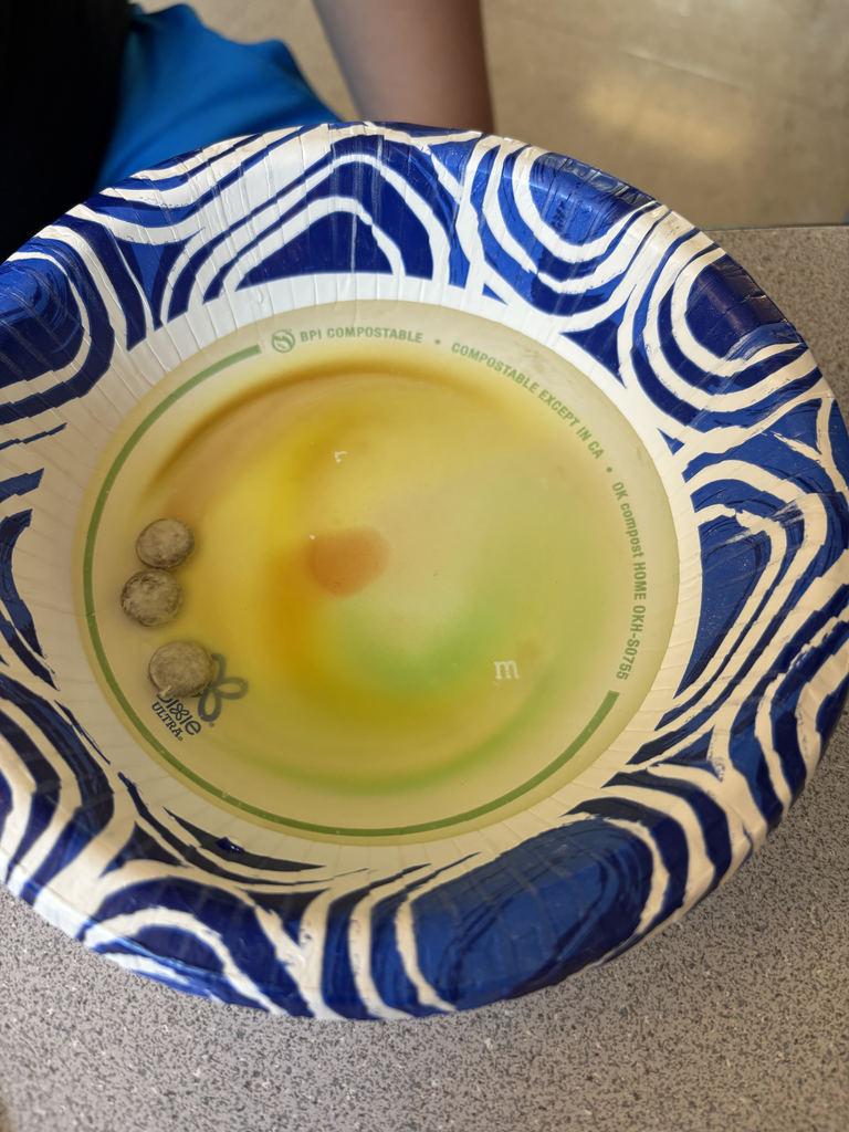 Mrs. Culbreth's class and the M&M experiment.