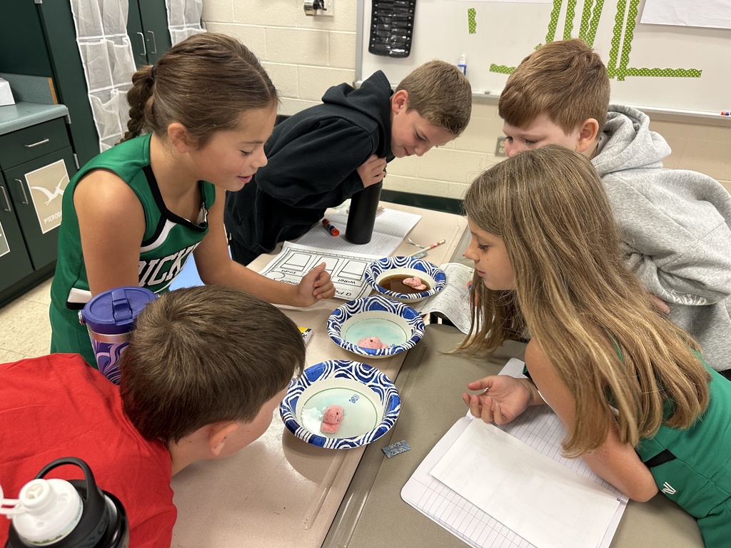 Dissolving Peeps experiment in Mrs. Gilleland's class.