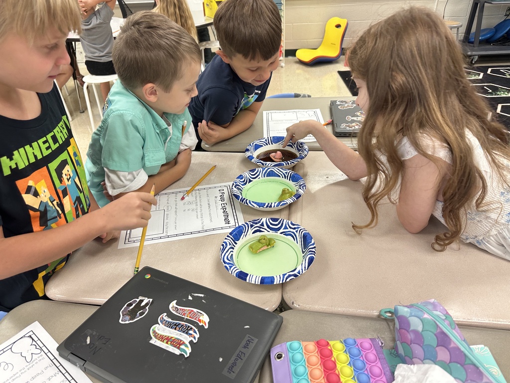 Dissolving Peeps experiment in Mrs. Gilleland's class.