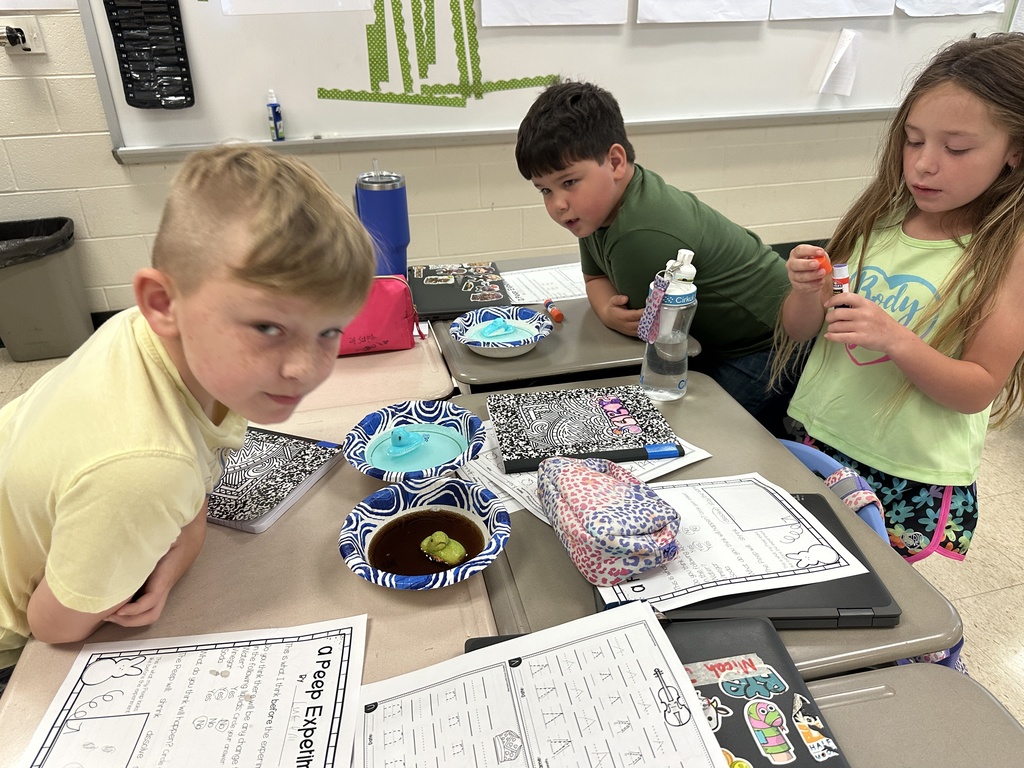 Dissolving Peeps experiment in Mrs. Gilleland's class.