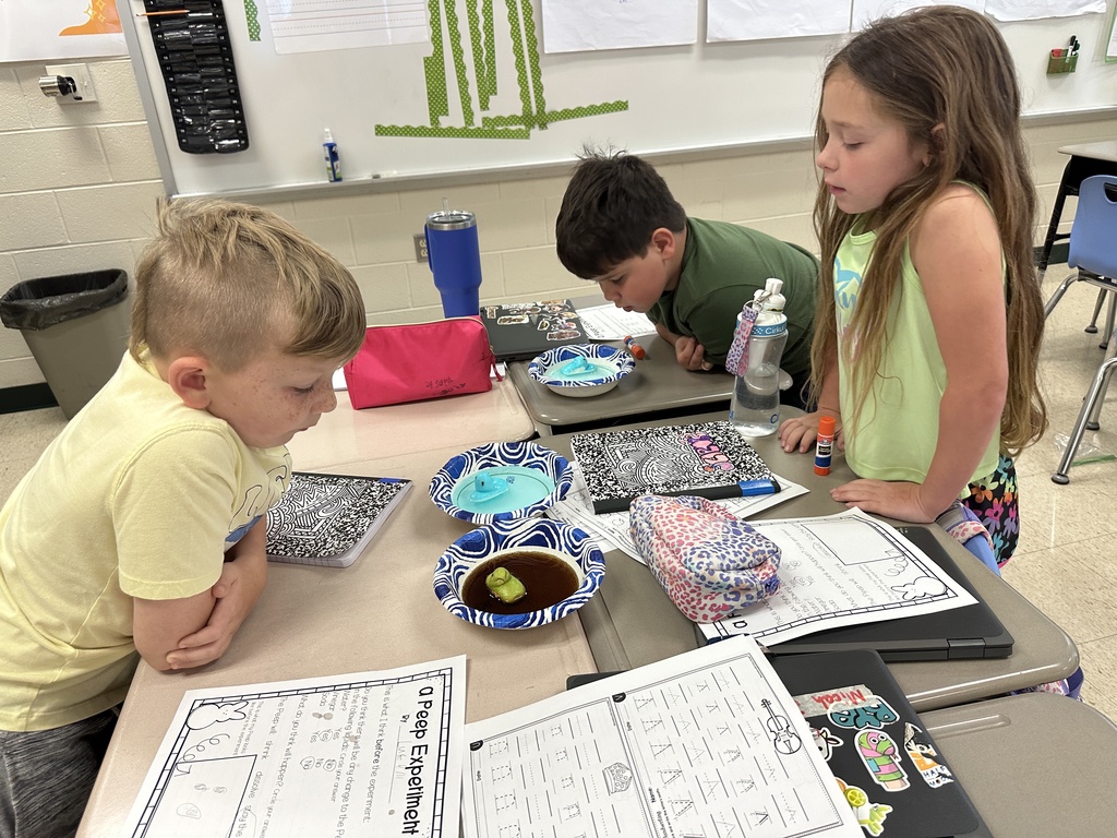 Dissolving Peeps experiment in Mrs. Gilleland's class.