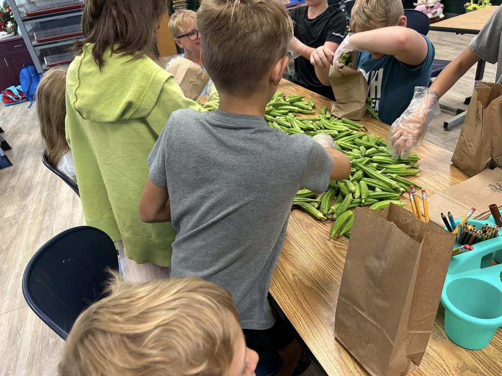 Sharing fresh okra from the Hill City garden in our food pantry!