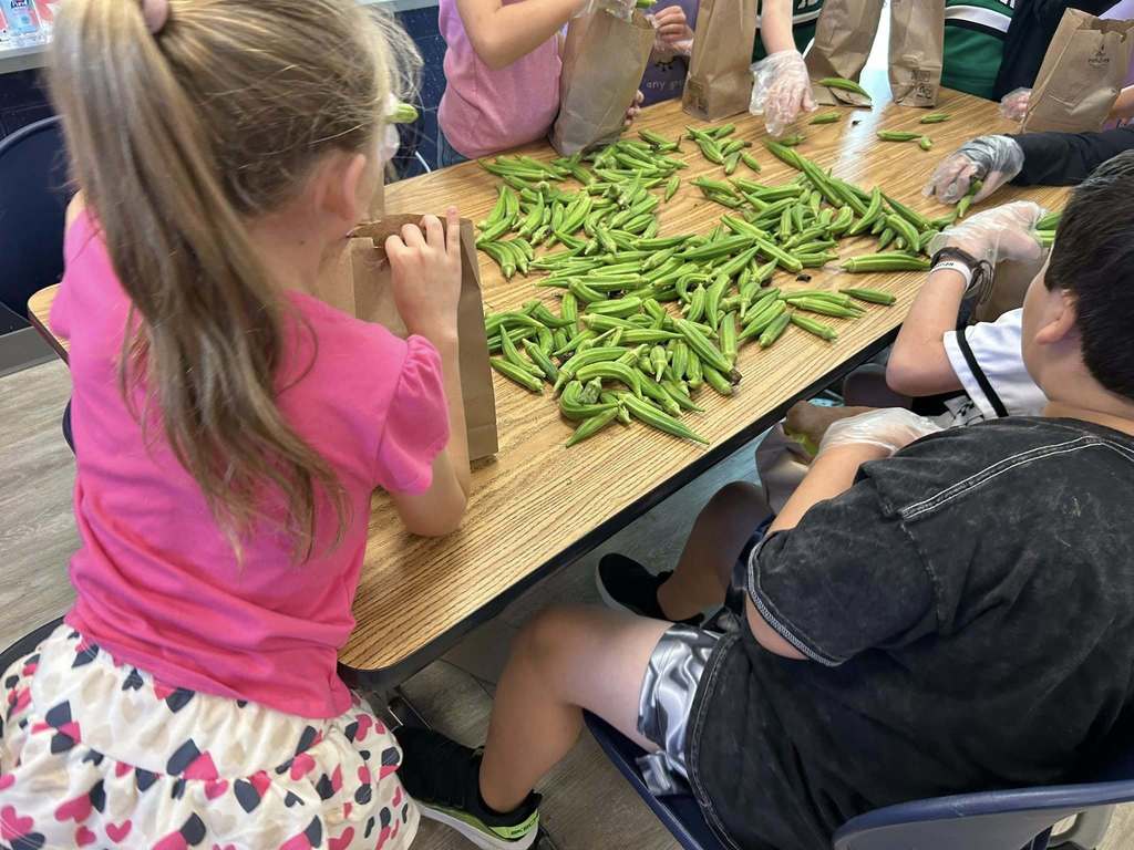 Sharing fresh okra from the Hill City garden in our food pantry!