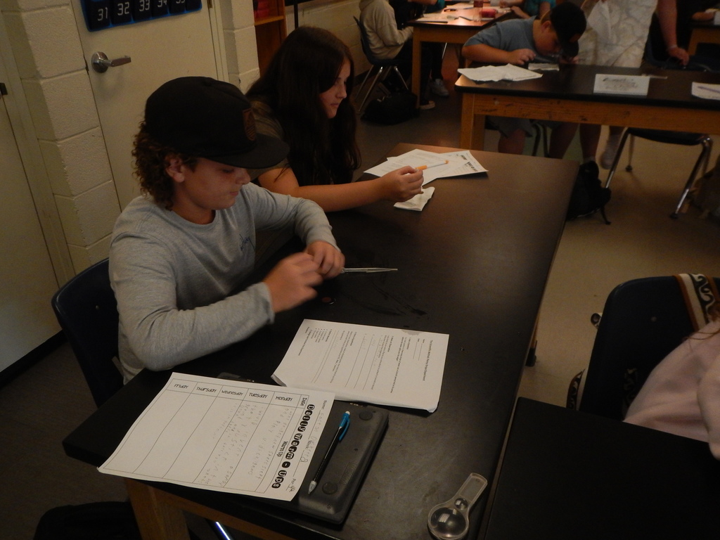 7th Grade  Science Penny Lab