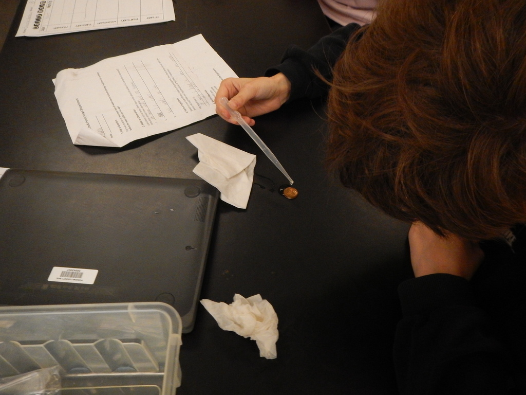 7th Grade  Science Penny Lab