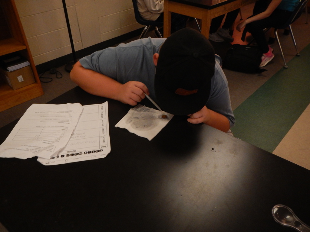 7th Grade  Science Penny Lab