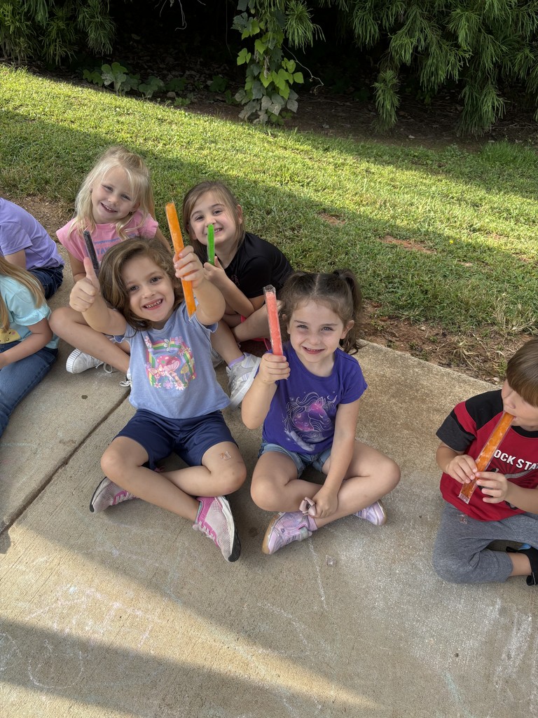 Faucett Popsicle Party