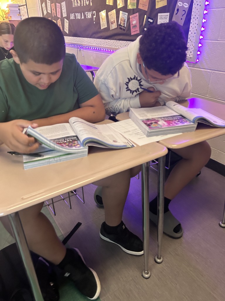 8th ELA PALS