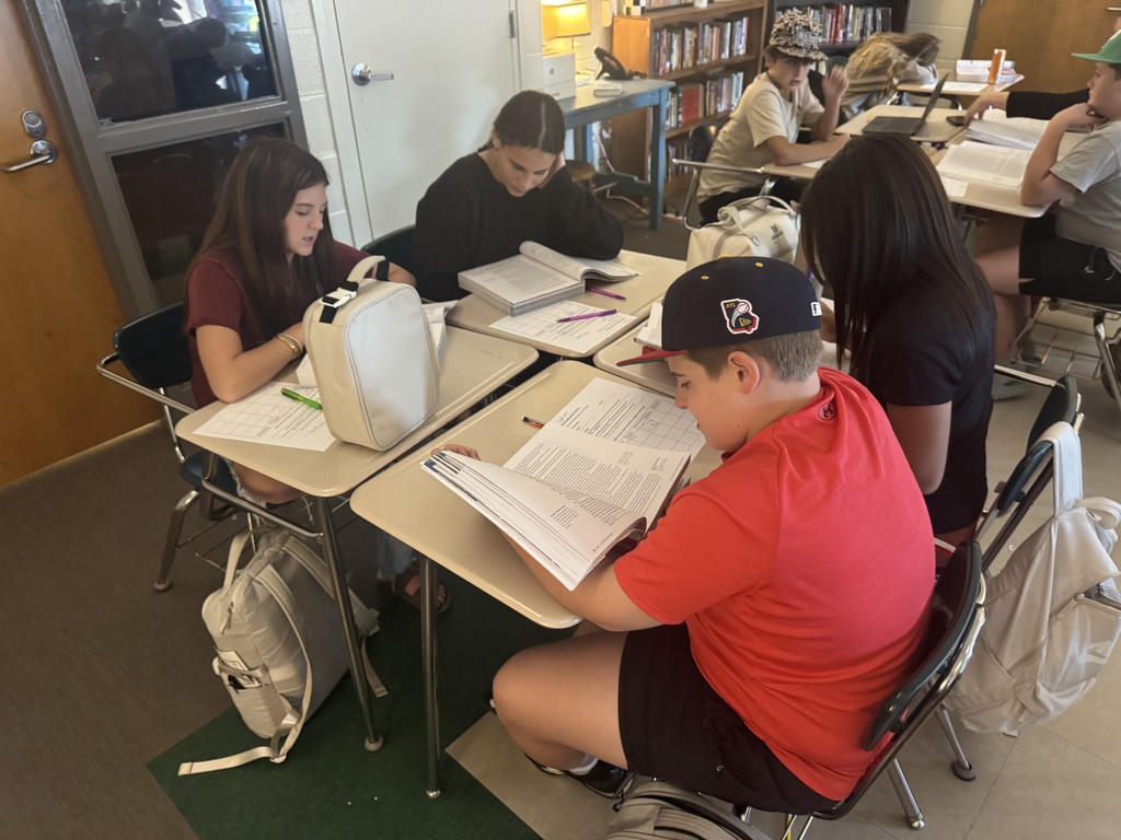 8th ELA PALS