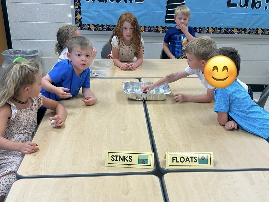Sink or float with kindergarten.