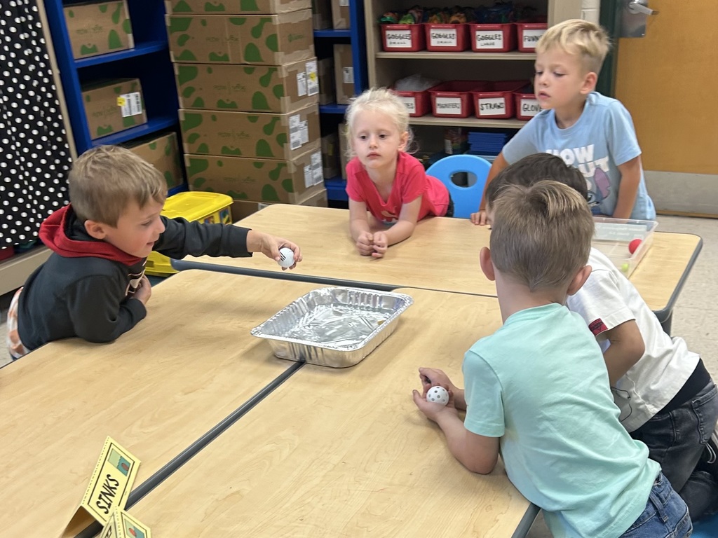 Sink or float with kindergarten.