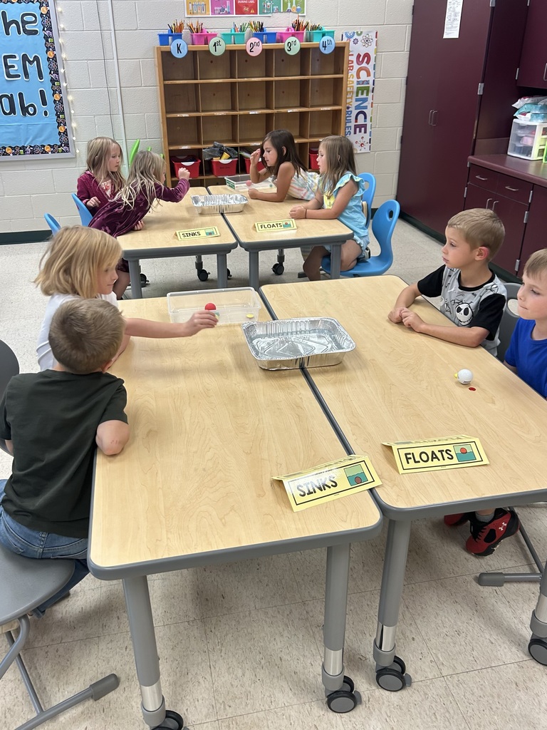 Sink or float with kindergarten.