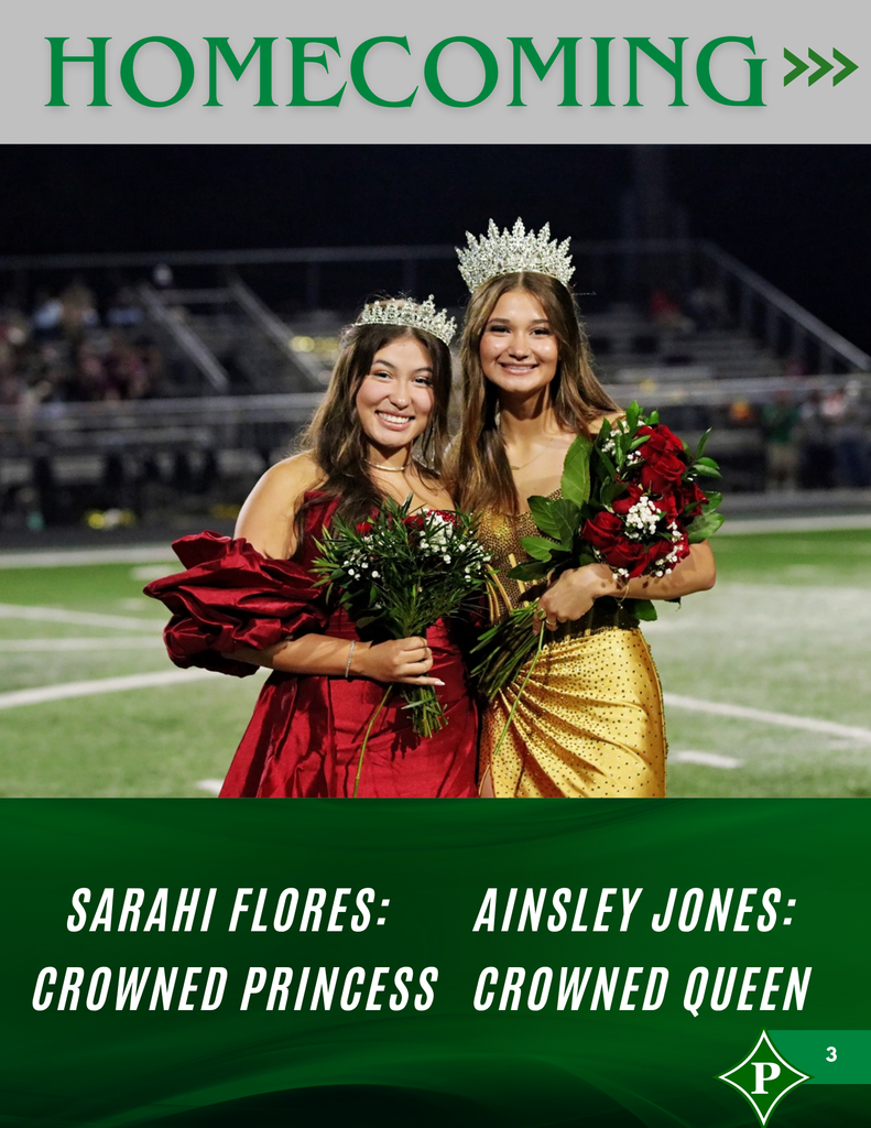Page 3 newsletter