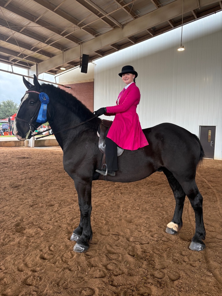 Heavy Draft Western Riding