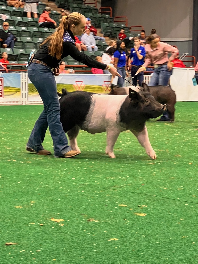 Pig Weekend at the GA National Fair