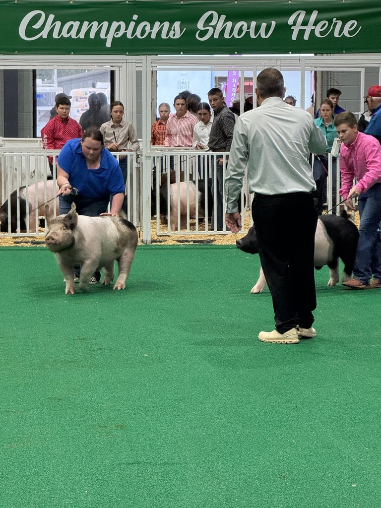 Pig Weekend at the GA National Fair