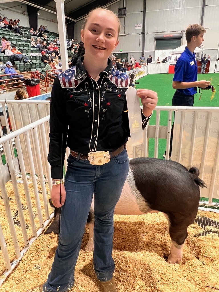 Pig Weekend at the GA National Fair