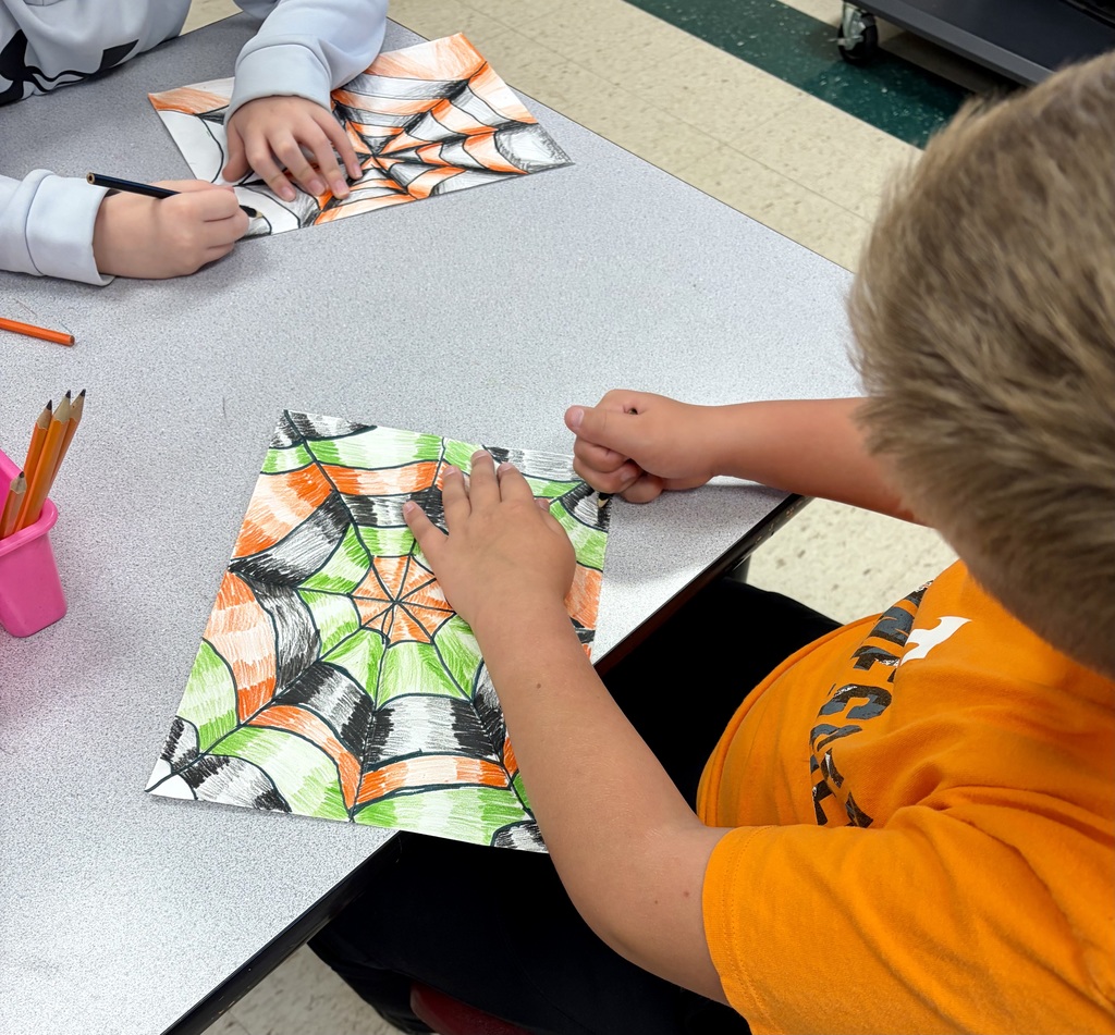 Optical Illusion Spiderwebs in Art!