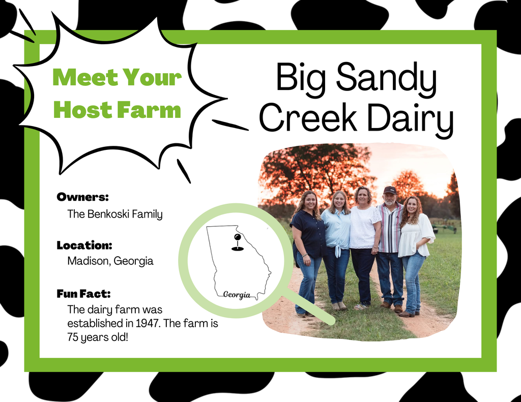 Meet Ms. Sultan's class cow - Raven!