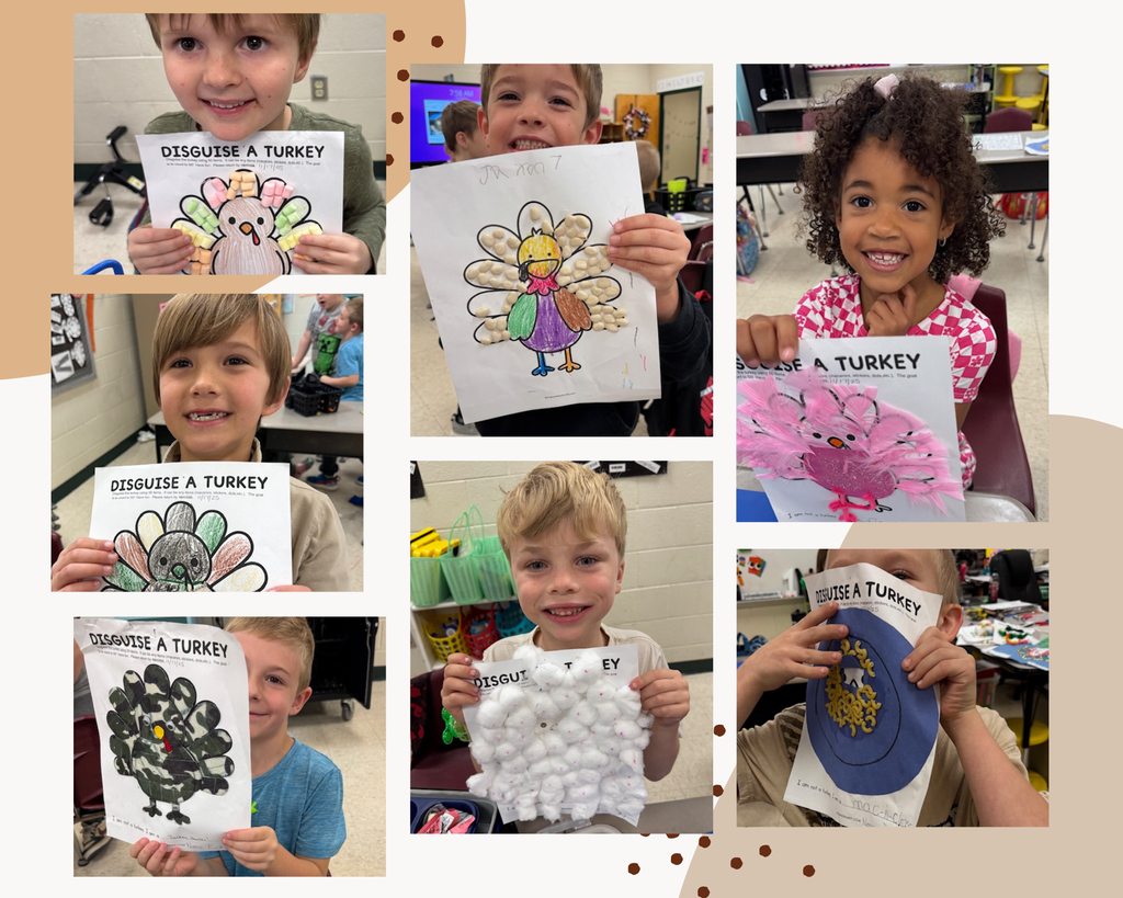 Ms. Sultan's math students had to disguise a turkey with 50 items.