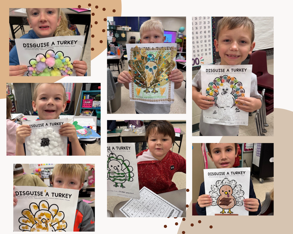 Ms. Sultan's math students had to disguise a turkey with 50 items.