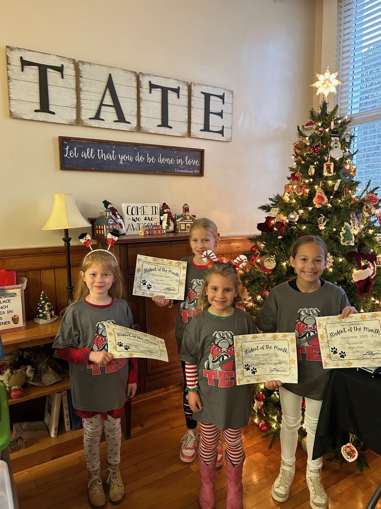 Four students in matching shirts in front of a christmas tree holding certificates.
