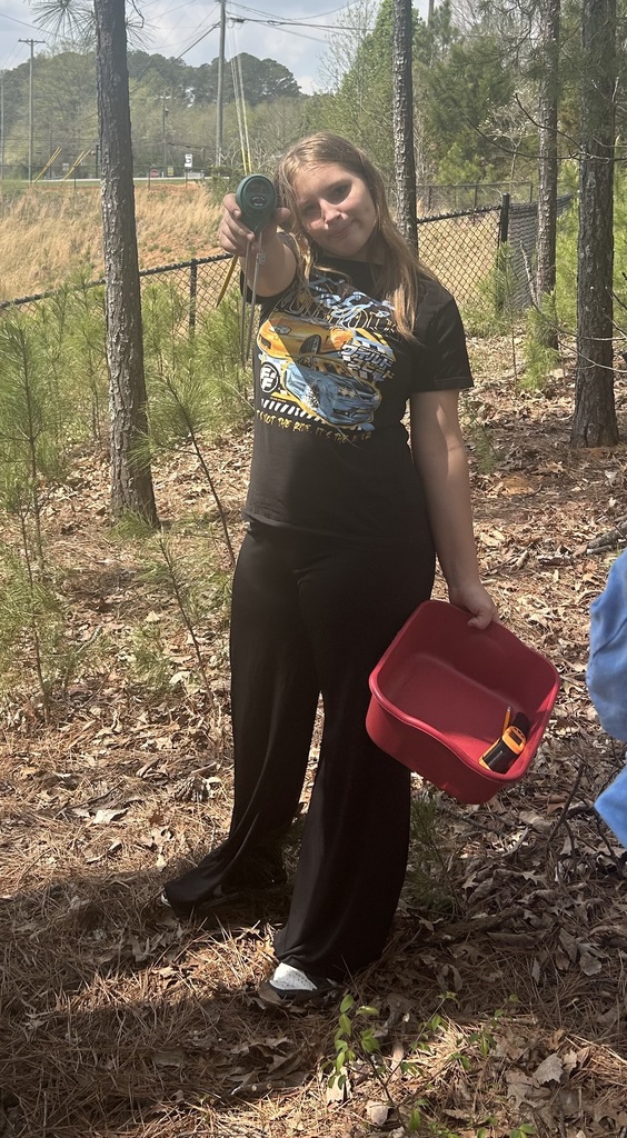 Students collecting data in the woods