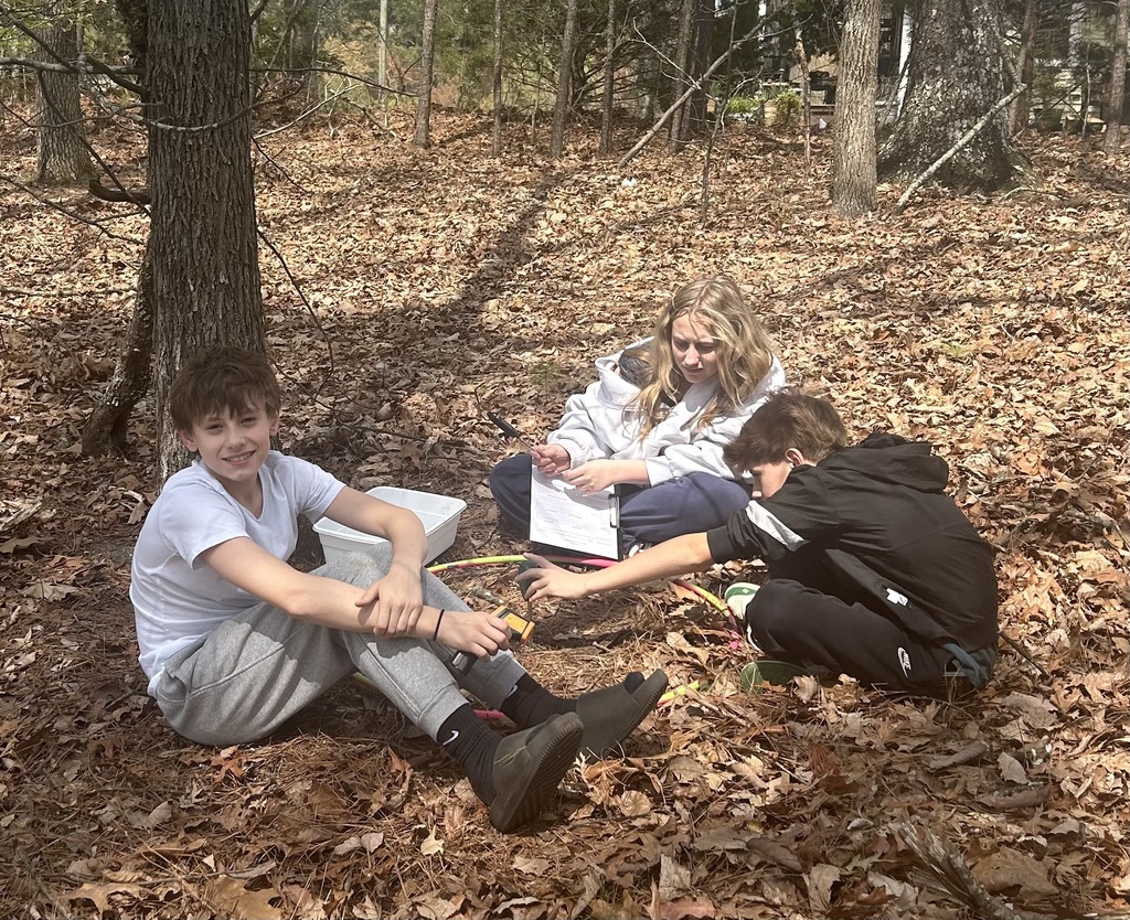 Students collecting data in the woods
