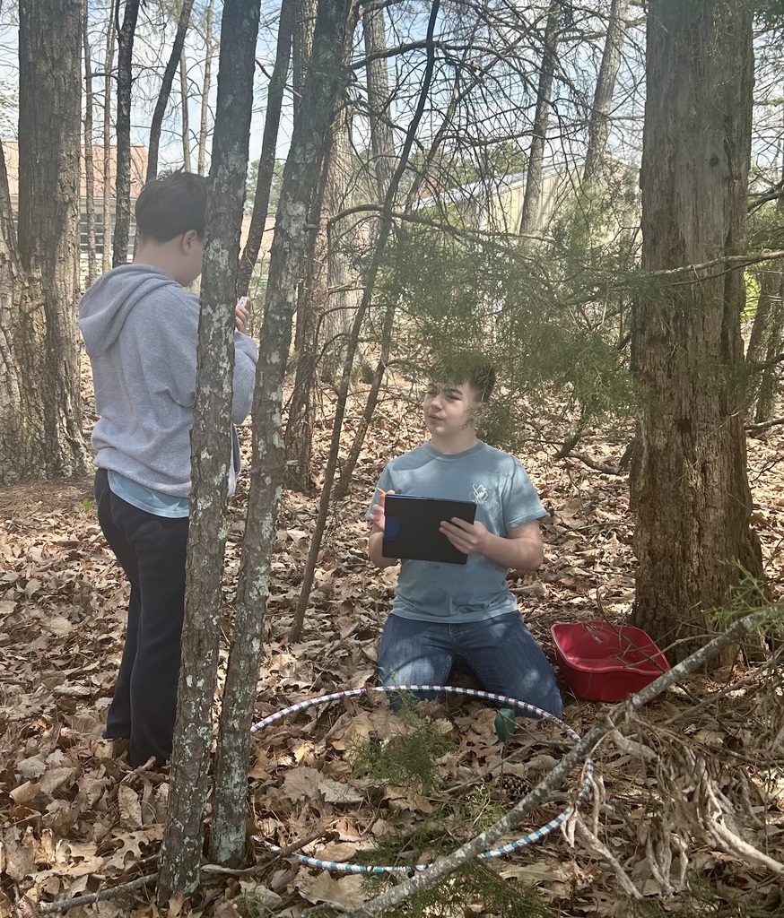 Students collecting data in the woods