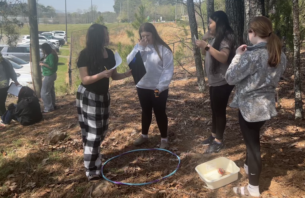 Students collecting data in the woods