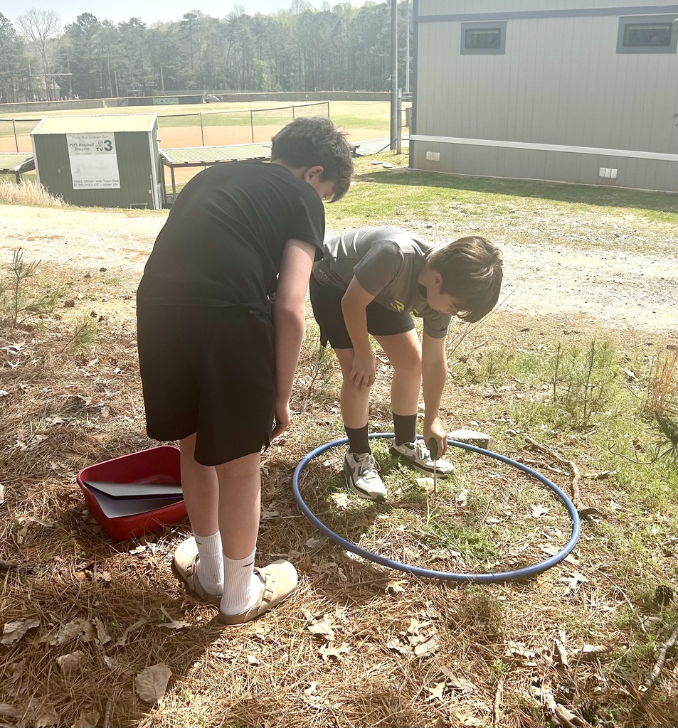 Students collecting data in the woods