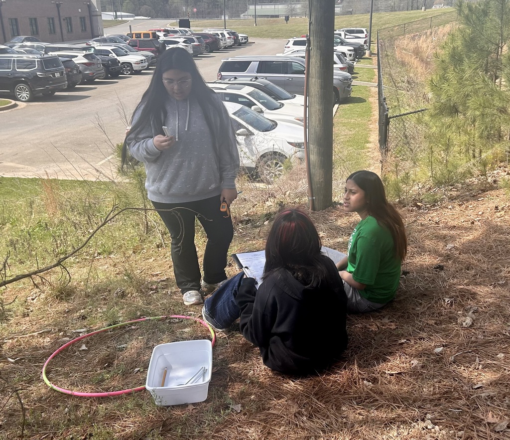 Students collecting data in the woods