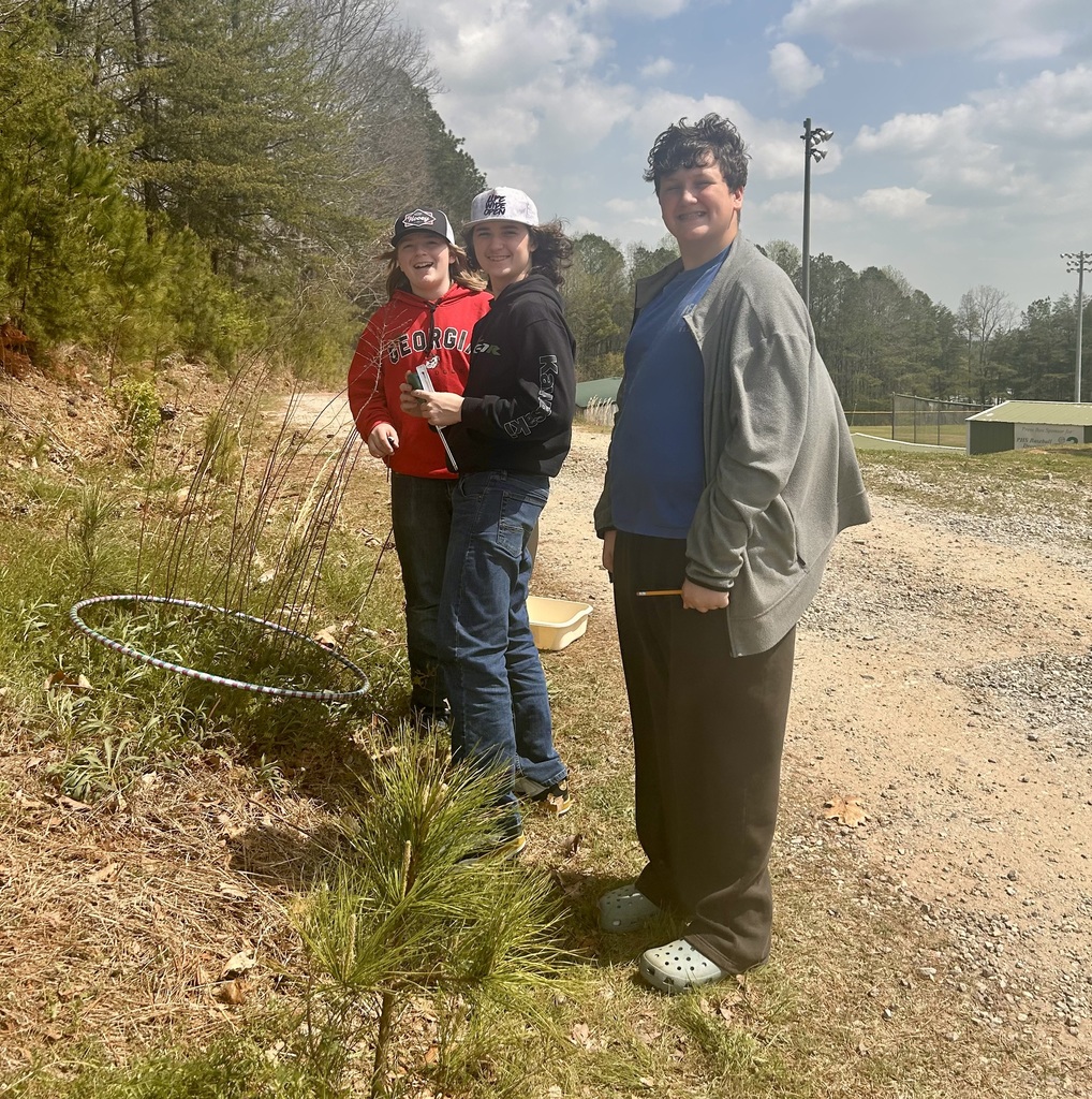 Students collecting data in the woods