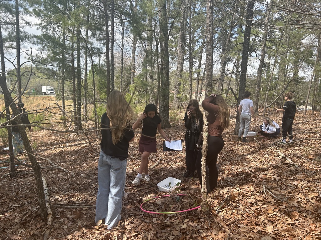Students collecting data in the woods