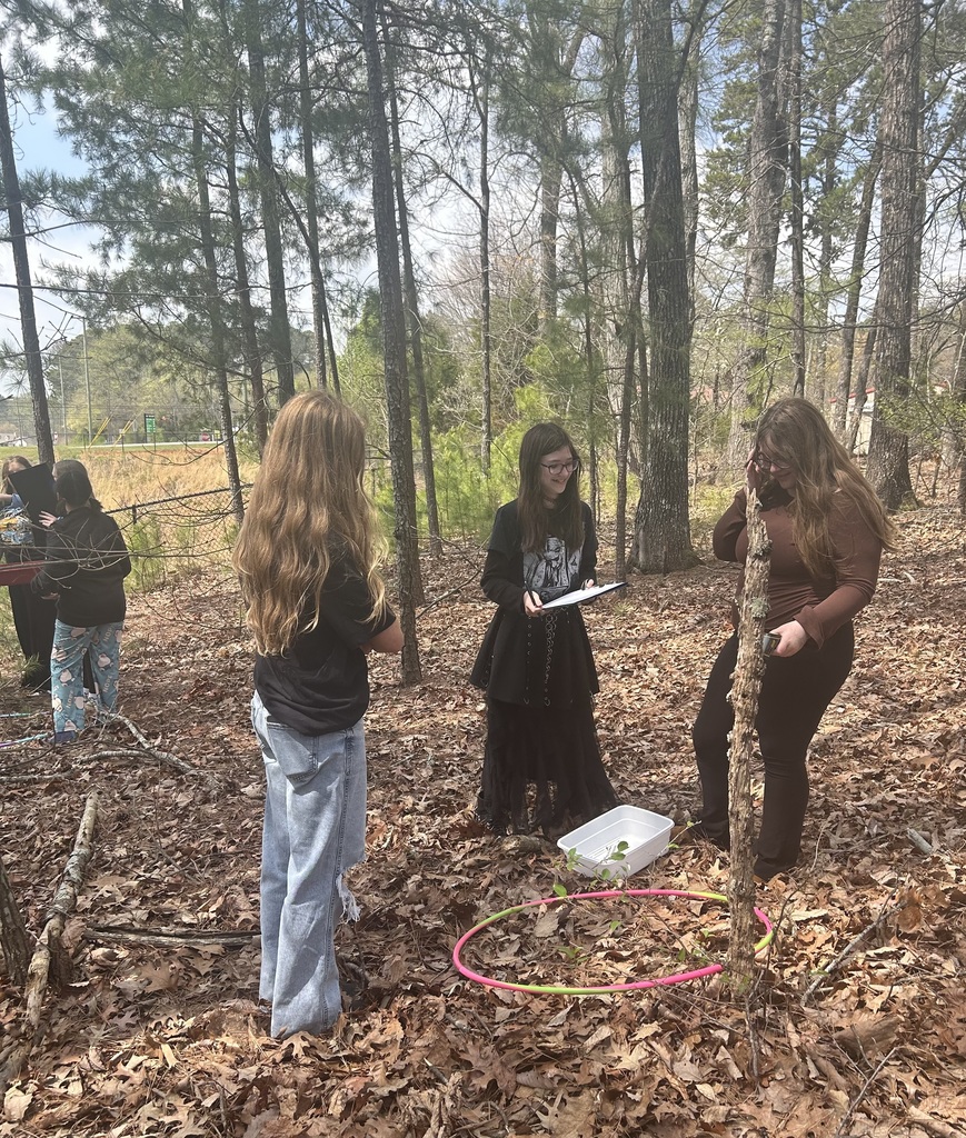 Students collecting data in the woods