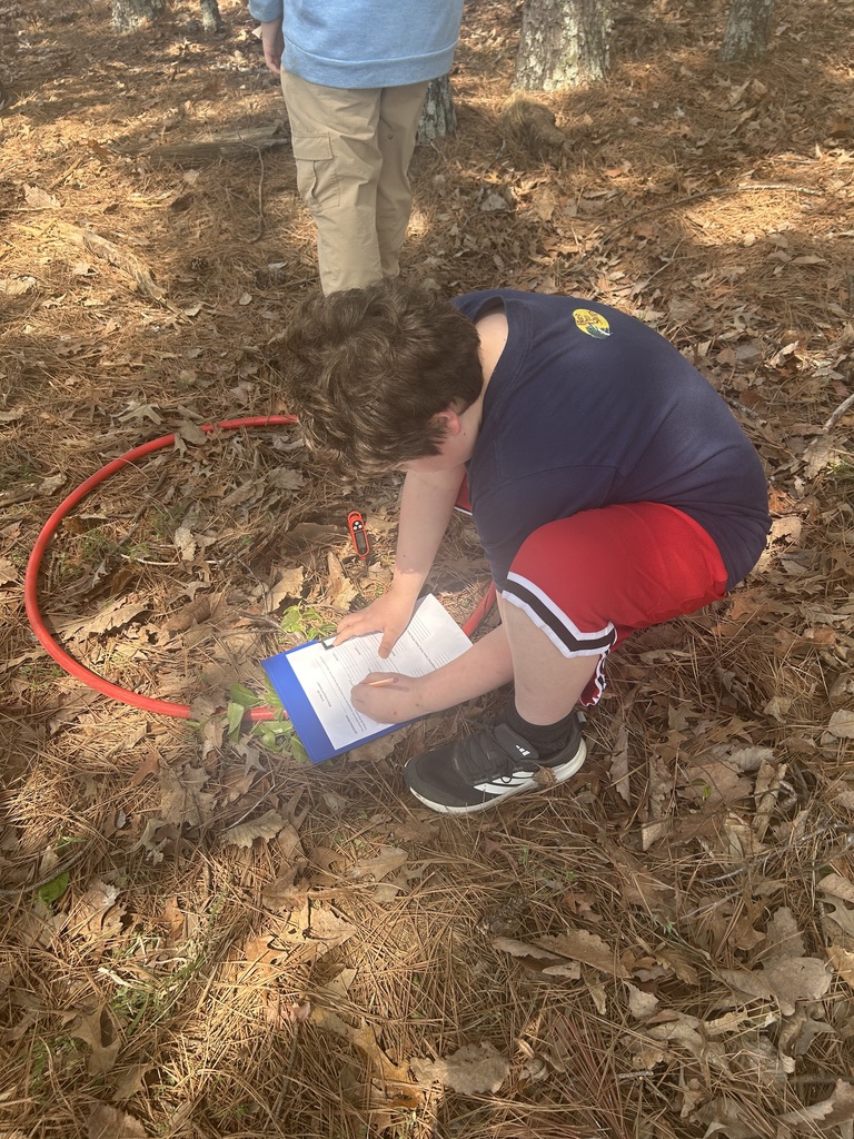 Students collecting data in the woods