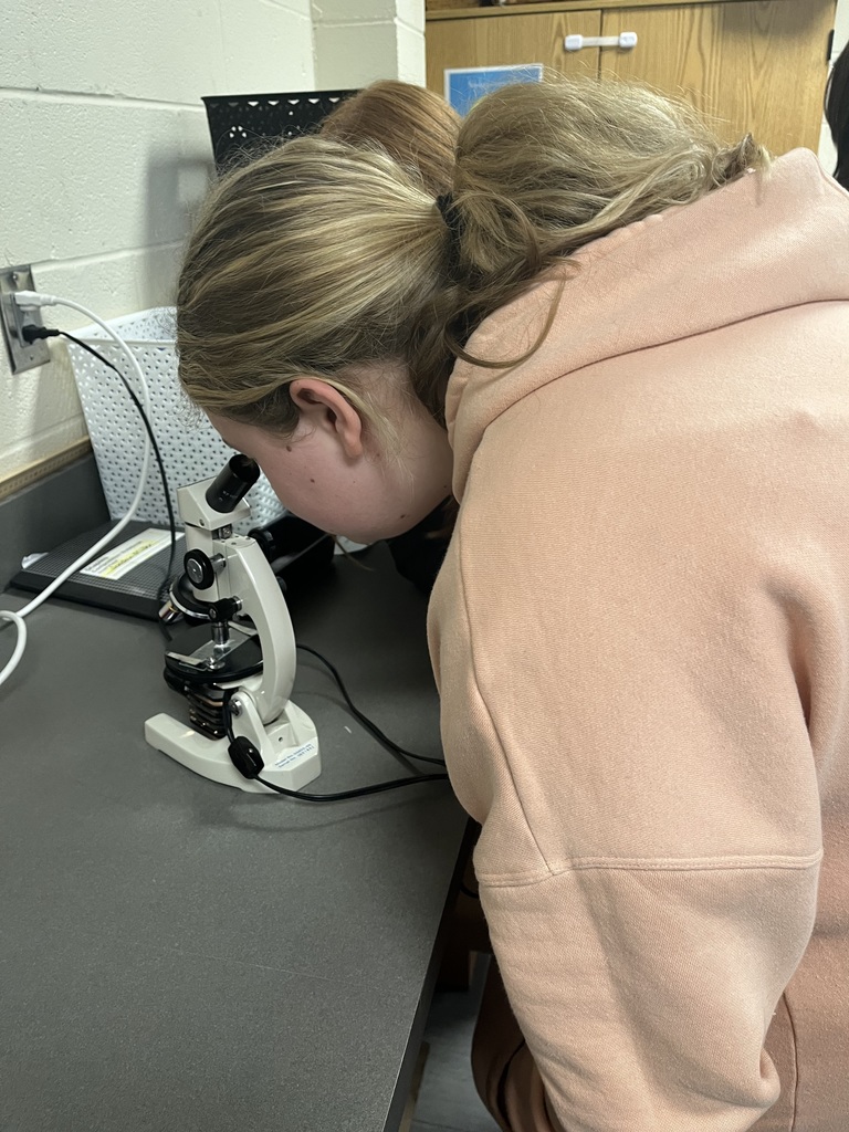 Student observing a stomata slide