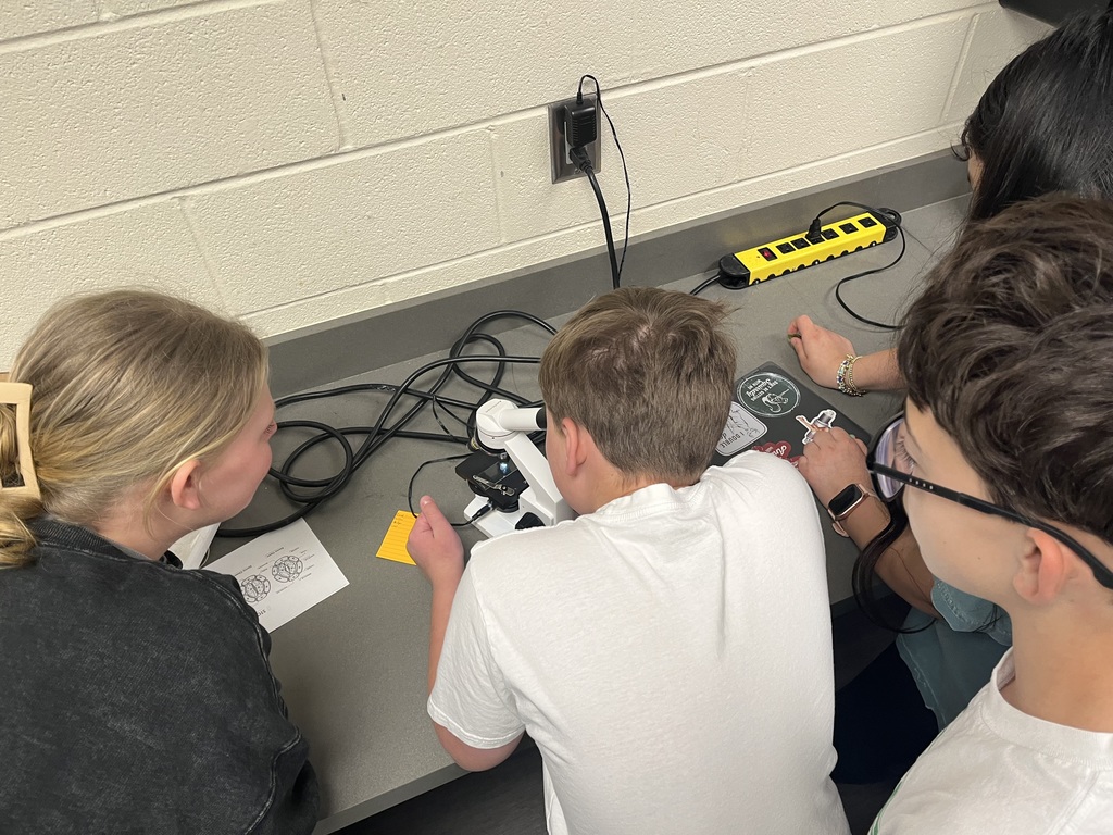 Students taking turns viewing stomata