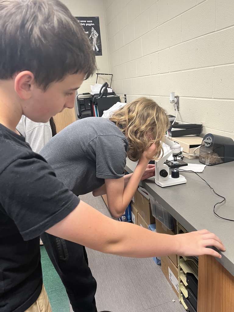 Student viewing stomata slides