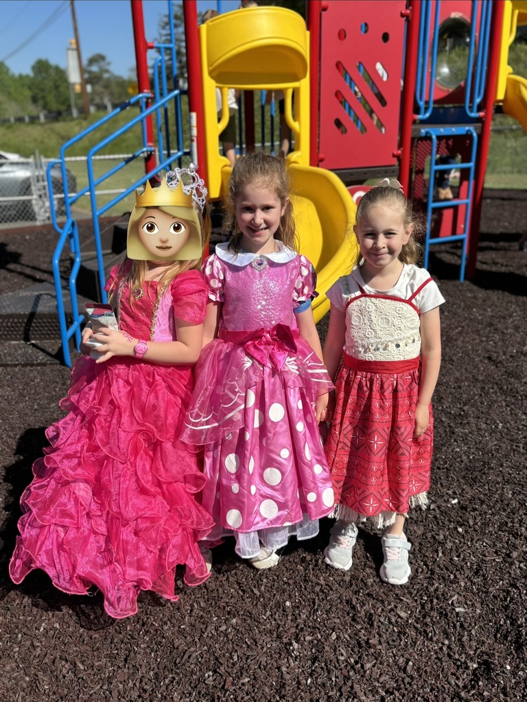 Three girls dressed as Princesses standing in front of a playground 