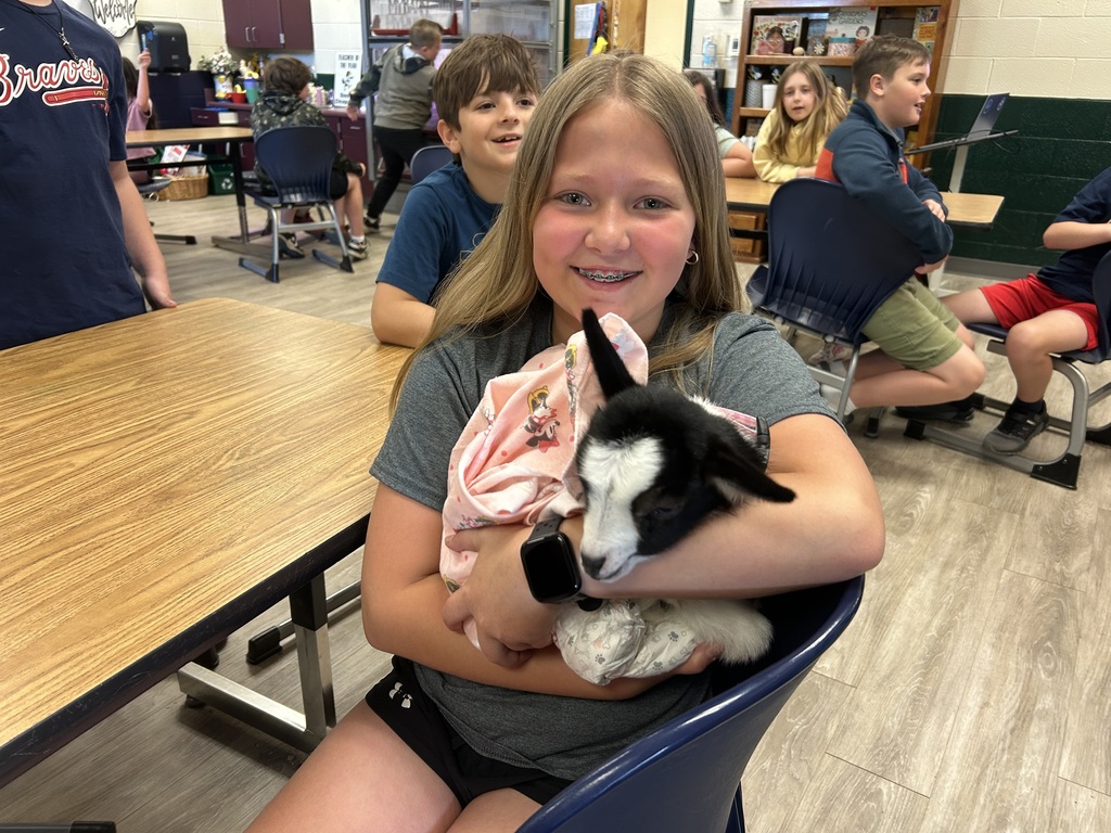 Baby goat Rosey visited Agriculture class and Mrs. Hamilton's PreK.