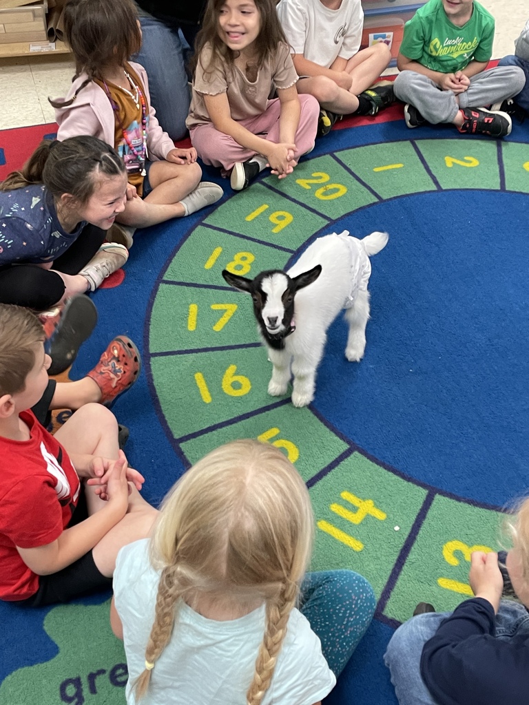 Baby goat Rosey visited Agriculture class and Mrs. Hamilton's PreK.