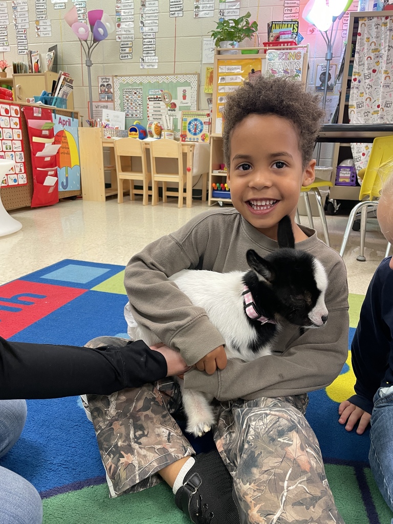 Baby goat Rosey visited Agriculture class and Mrs. Hamilton's PreK.