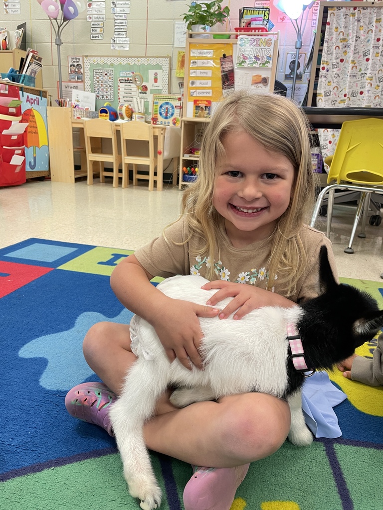 Baby goat Rosey visited Agriculture class and Mrs. Hamilton's PreK.