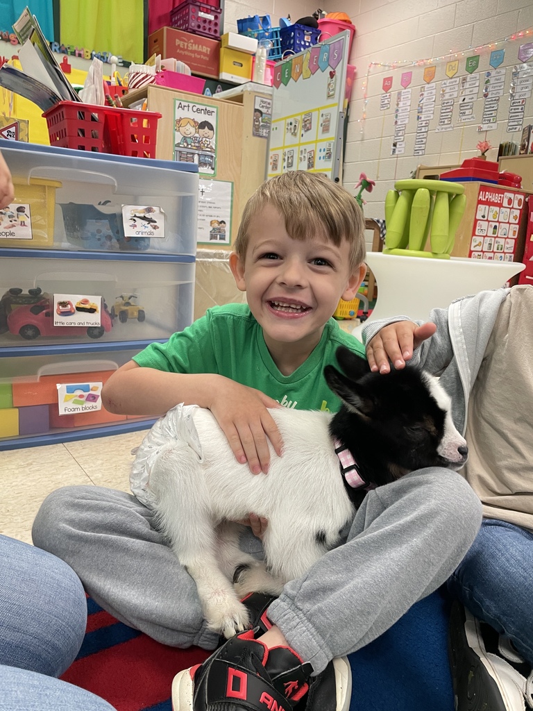 Baby goat Rosey visited Agriculture class and Mrs. Hamilton's PreK.
