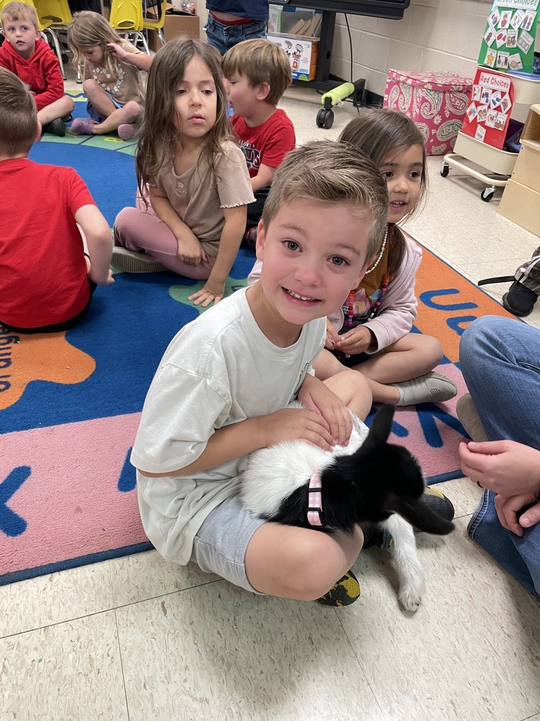 Baby goat Rosey visited Agriculture class and Mrs. Hamilton's PreK.
