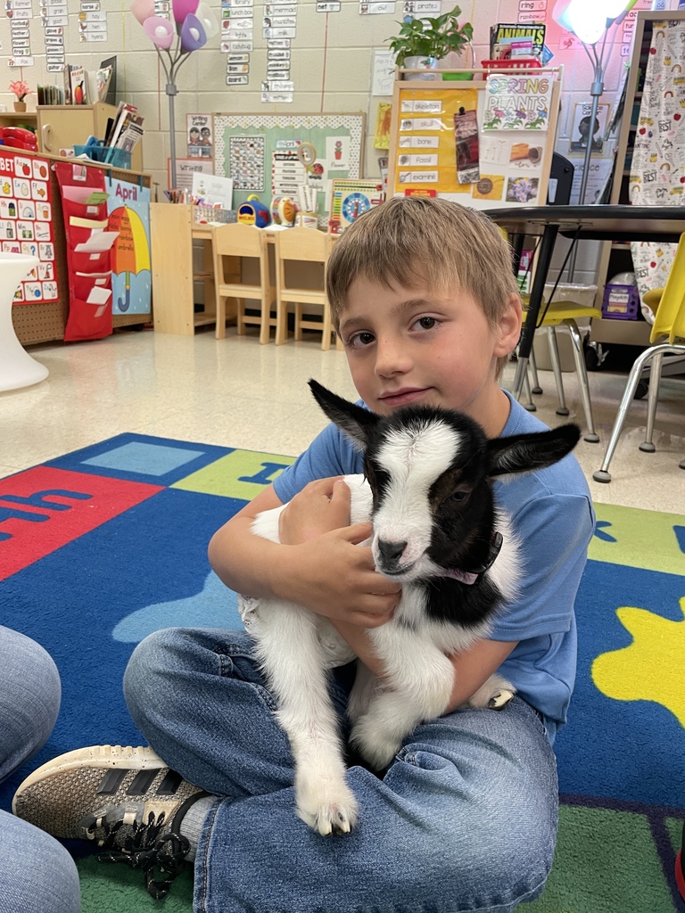 Baby goat Rosey visited Agriculture class and Mrs. Hamilton's PreK.