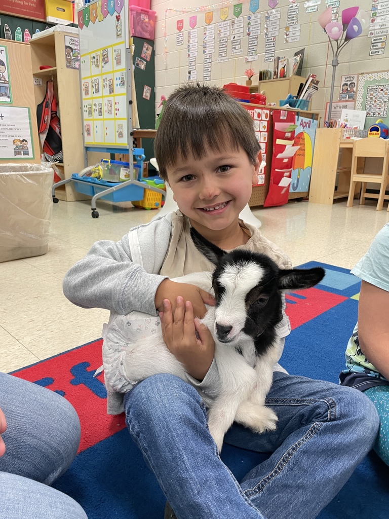 Baby goat Rosey visited Agriculture class and Mrs. Hamilton's PreK.