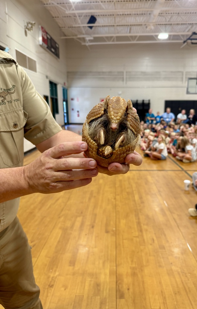 A huge thank you to Wildlife Wonders for bringing these amazing animals to Hill City for our final behavior celebration for this school year! 